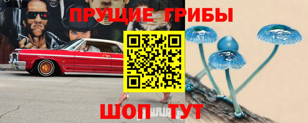 Галлюциногенные грибы MAGIC MUSHROOMS Барабинск